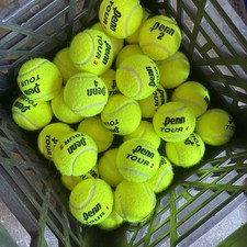 30 New Tennis Balls PENN Dog Toy LOT SPECIAL DEAL SALE