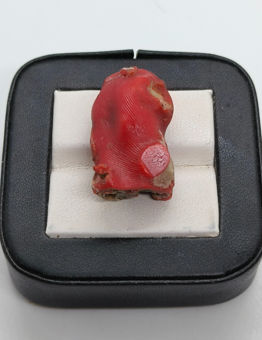 Red Italian Coral Rough-Genuine Coral Gemstone loose Rough Branch Red Coral