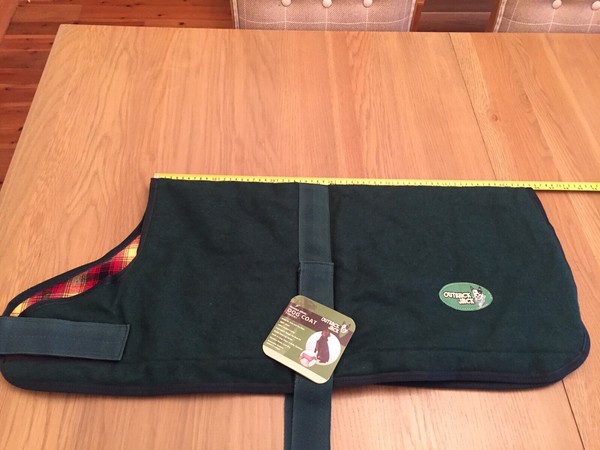 outback jack dog coat