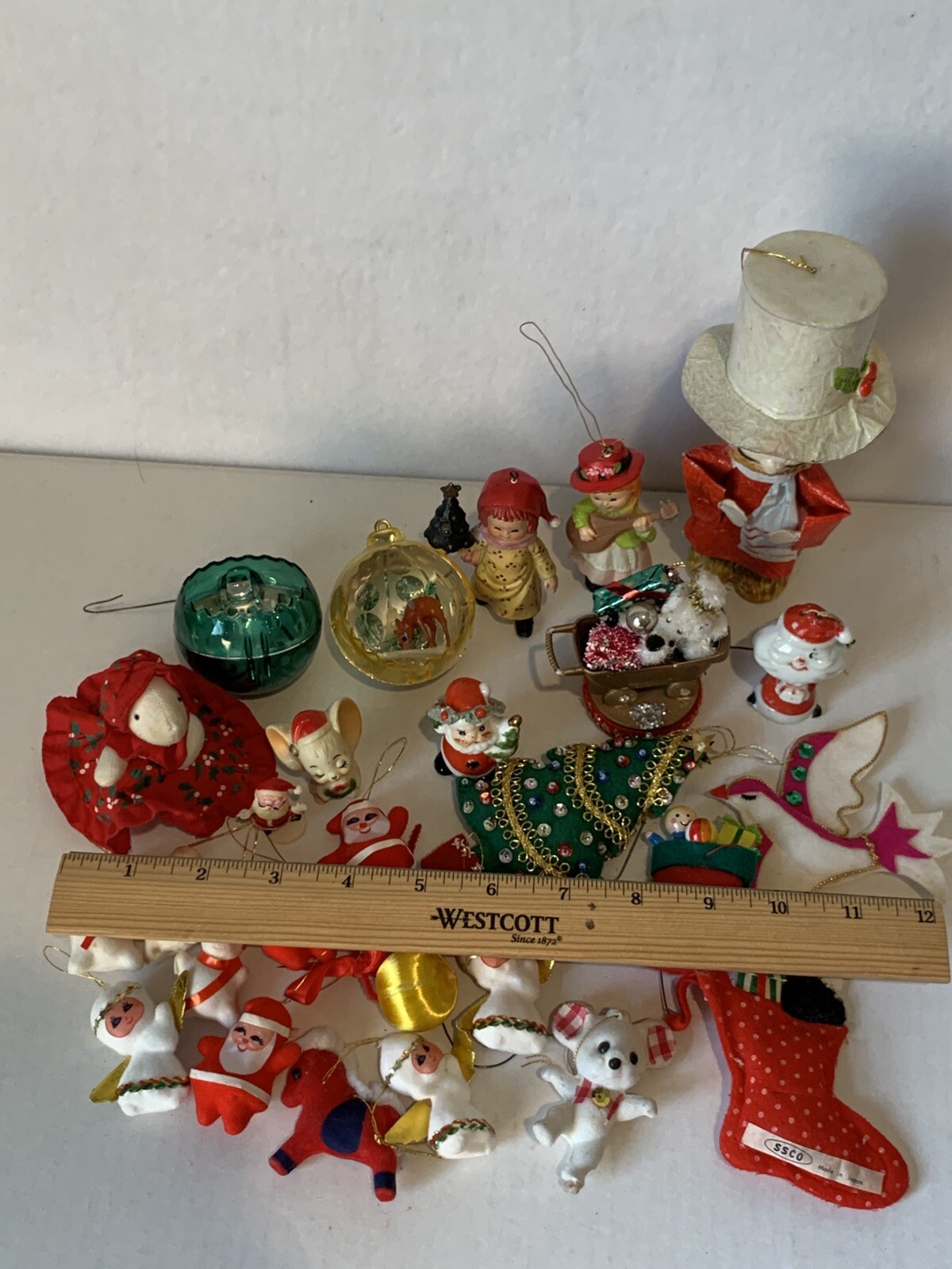 Foto 11 di 24