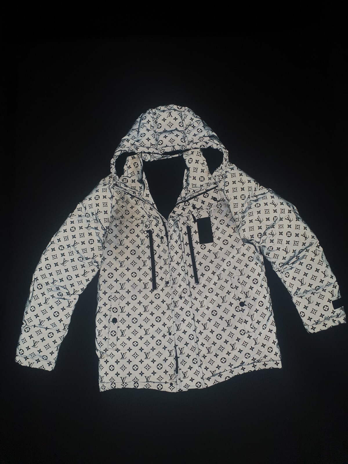 Louis Vuitton Large Reflective Jacket Coat eBay