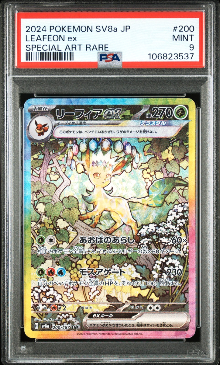 茶 teressa Terrarossa | Tafisa