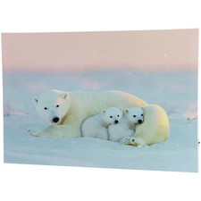 Northlight Fiber Optic Lighted Mama Polar Bear Cubs Canvas Art 23.5
