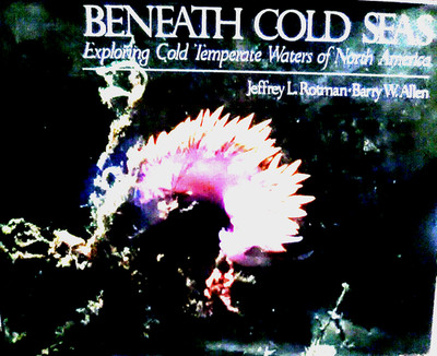 Beneath Cold Seas Exploring Cold Temp. Waters of N. America~By Rotman & Allen