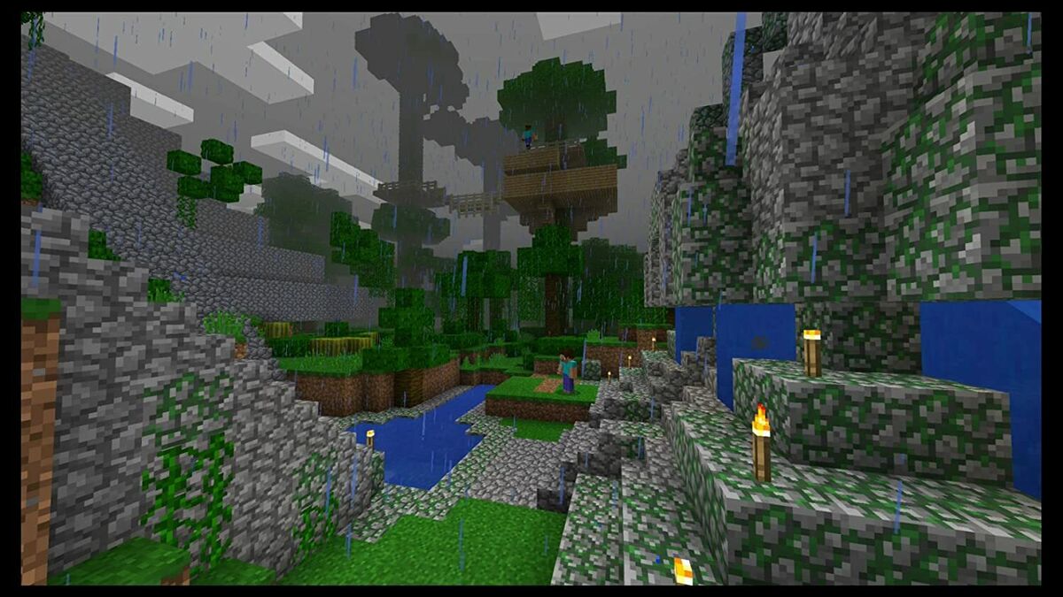 Minecraft Nintendo Switch and Switch Lite Includes Super Minecraft Nintendo Switch and Switch Lite Includes Super
