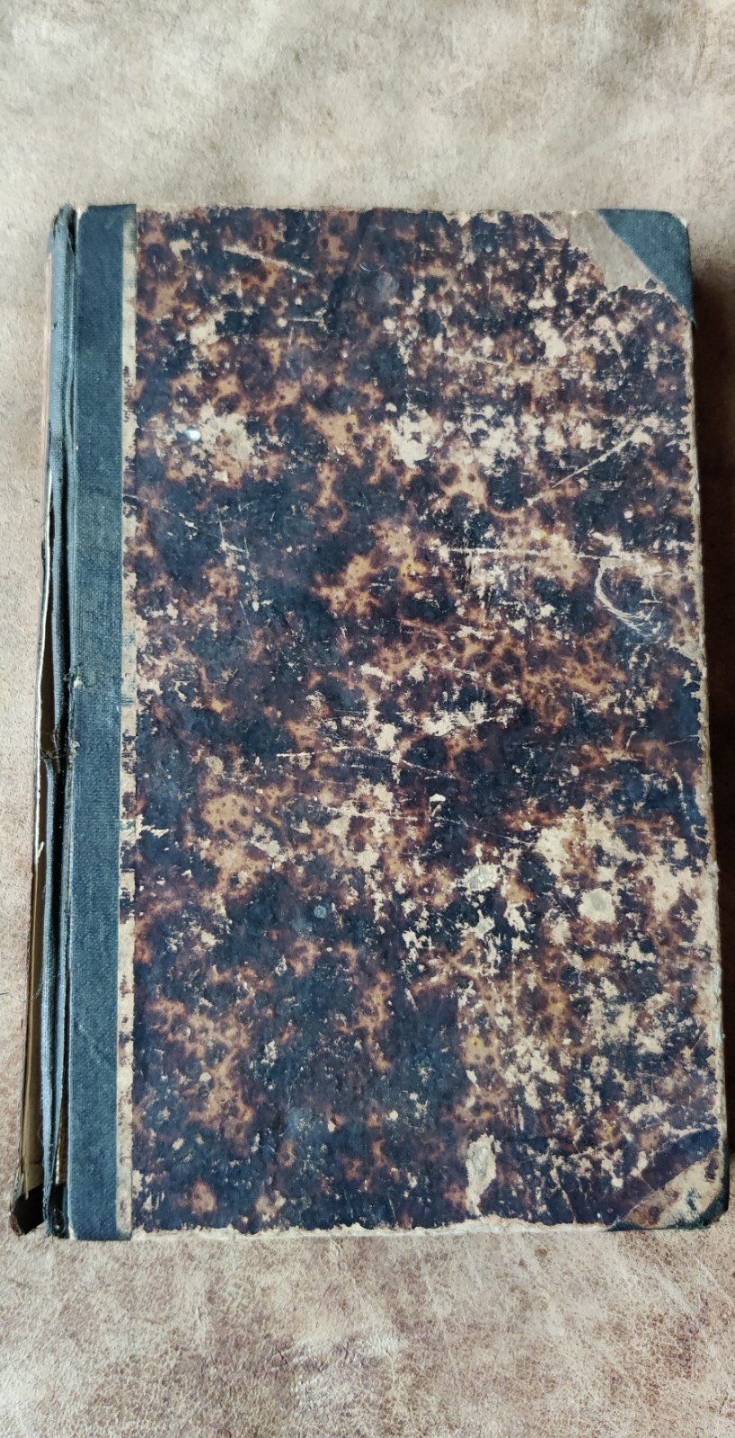 Picture 3 of 16