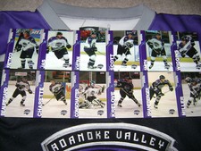2005-06 Roanoke Valley Vipers hockey card set.......One year team !