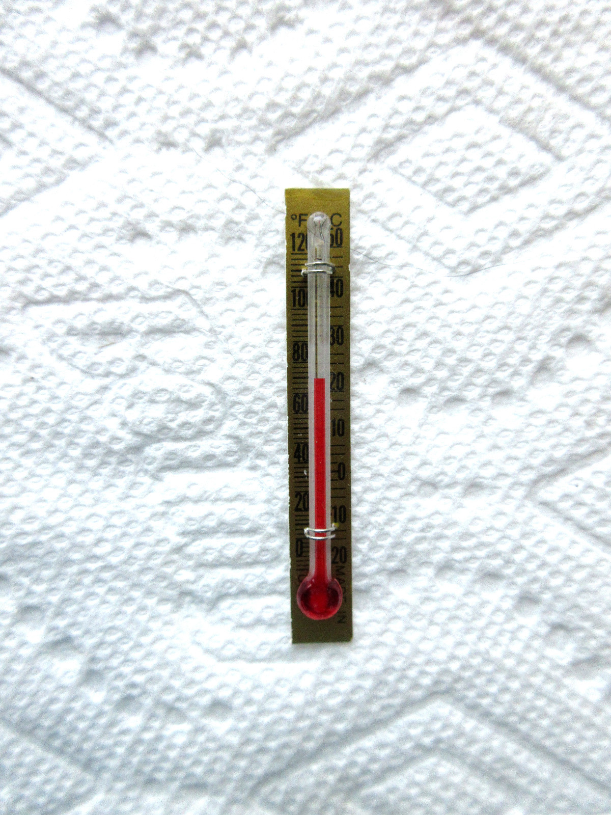 2 2 INCH GLASS REPLACEMENT THERMOMETER GLASS TUBE WITH GOLD BACKING
