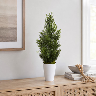 27'' Mini Cedar Pine Tree in Planter (Indoor/Outdoor)
