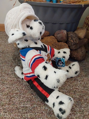 2001 VINTAGE THE Bear Factory Plush Stuffed Dalmatian Hockey Jersey Rare Dog Toy - Picture 3 of 8