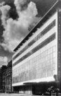 Art in Our Time: A Histoy of Moma: A Chronicle of... | Buch | Zustand akzeptabel