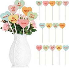 14PCS Valentine  s Day Decorative Picks Cute Double-Sided Wooden Heart Picks w...
