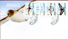 2024 AAT Australian Antarctic Petrels (Gummed) FDC - Kingston Tas 7050 PMK