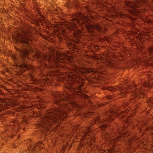 Australian Red Mallee Burl Cap 1Kg-2Kg 1-Piece - Picture 2 of 3