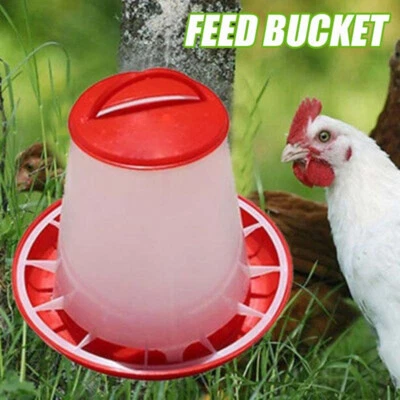 Small Plastic Food Feeder Chicken Chick Hen Poultry Lid Handle Farm Feeding