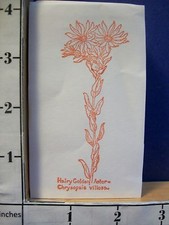 HAIRY GOLDEN ASTER FLOWER rubber stamp 14E