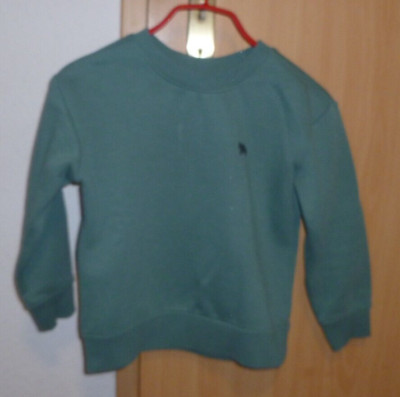 Pullover Sweatshirt  Saurier  Dopodopo Boys  Gr. 110