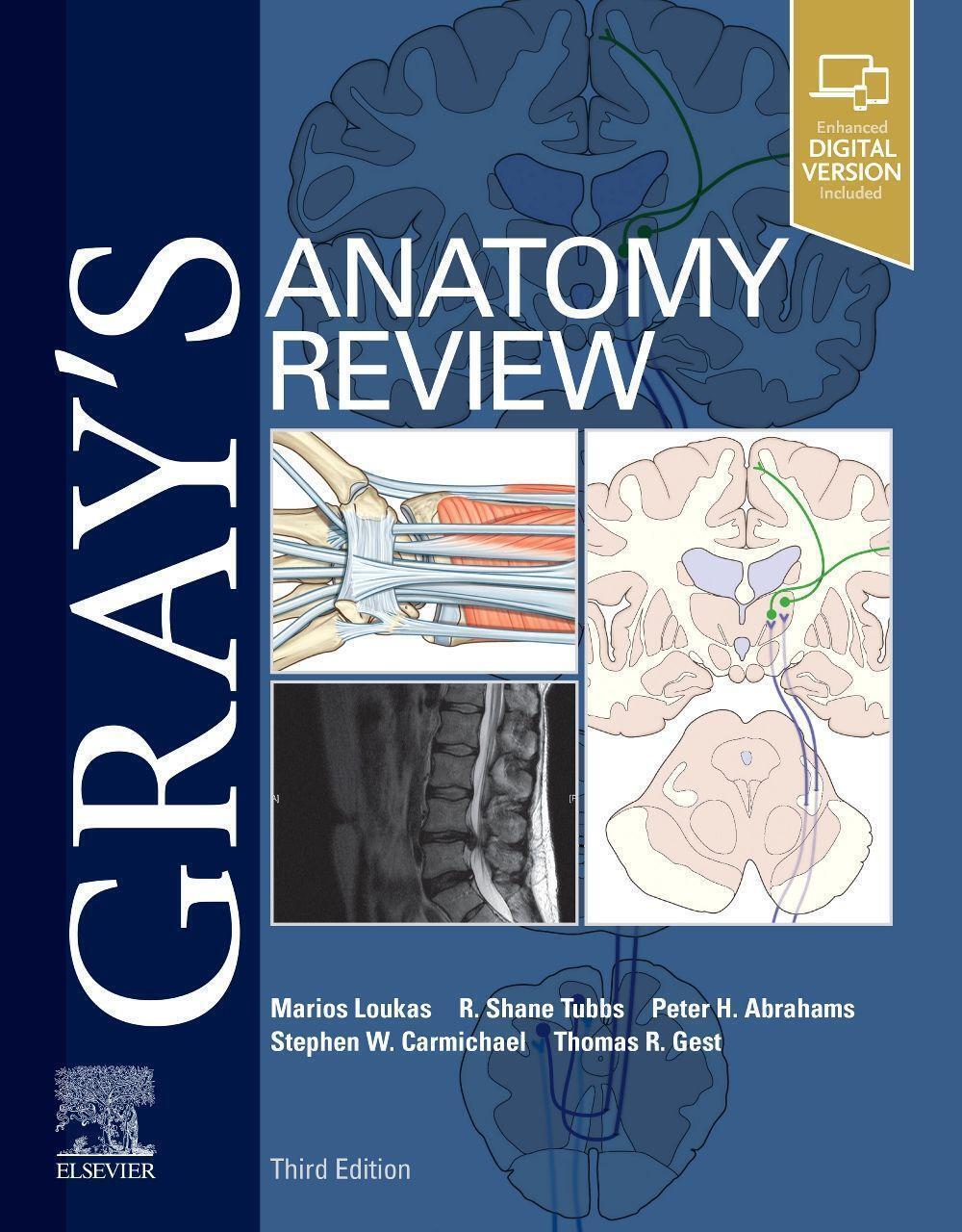 Thumbnail - Gray's Anatomy Review | Marios Loukas (u. A.) | Taschenbuch | Englisch