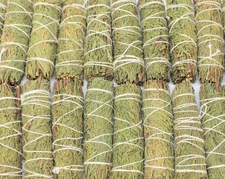 Cedar Sage Smudge Sticks Bulk Wholesale - 1,2,3,5,10,20 or 50 (House Cleansing)