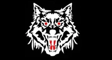 CAR HOOD SIDE FENDER TRUNK DECORATION DECAL STICKER WHITE WOLF #BIG
