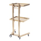 Gold Rolling Trolley Cart for Beauty Salon Spa - Foldable Stainless Steel Tray — photo 3