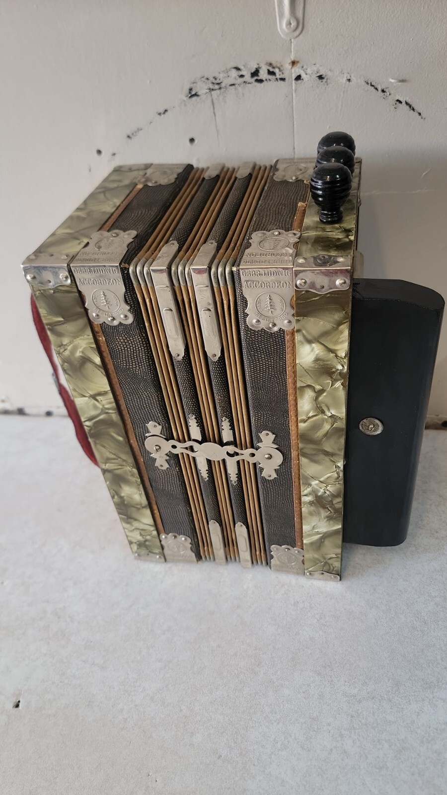 Gebr. Ludwig Accordion Steel Bronze Pine Tree Squeeze Box + Reeds German ANTIQUE