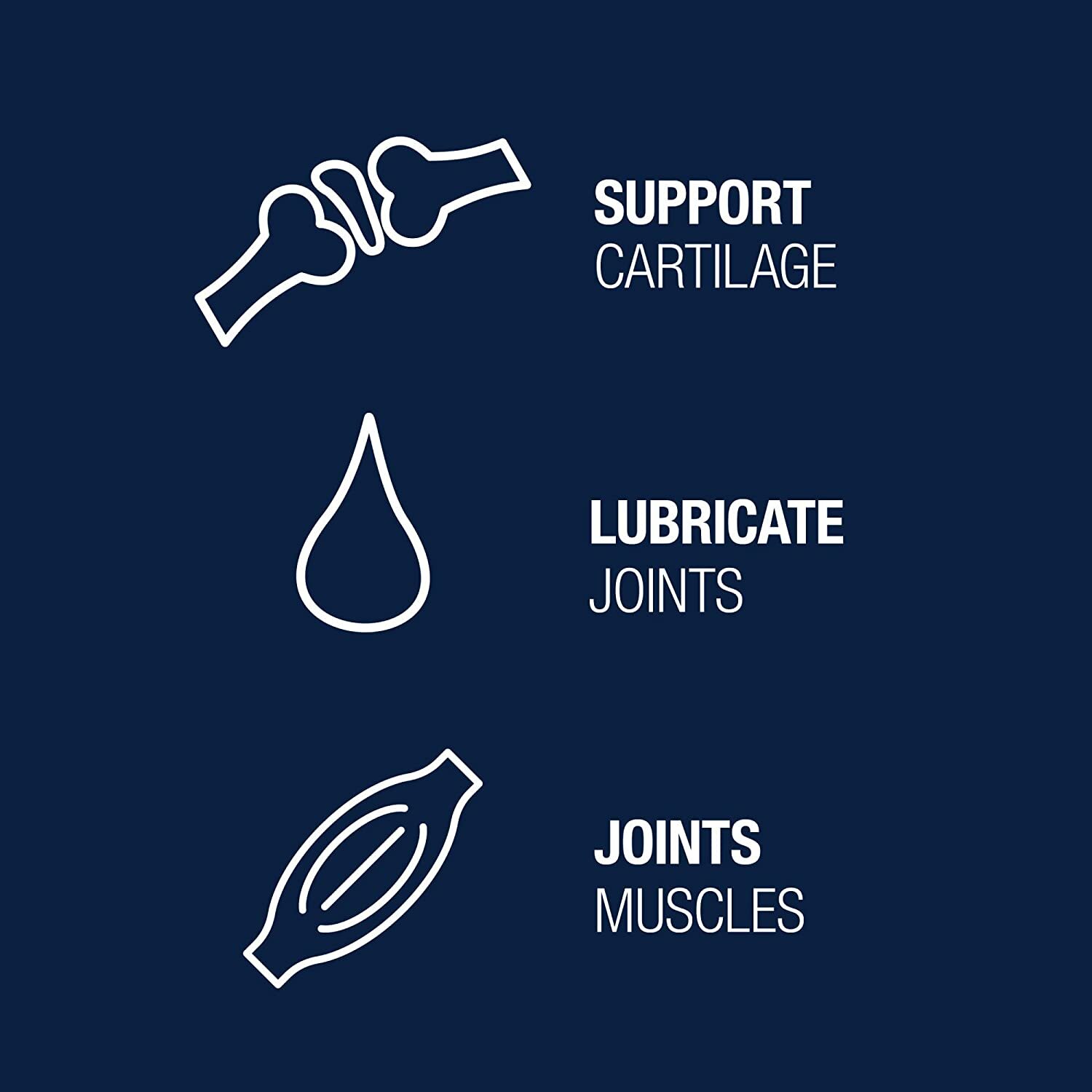 VETIQ Maximum Strength Hip and Joint Supplement for Dogs 180 Count eBay