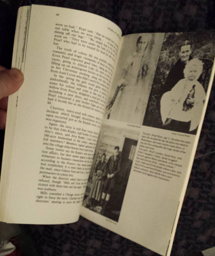 Utopia In Upper Michigan (Schoolcraft County) by Olive Anderson 1982, paperback - Picture 6 of 6