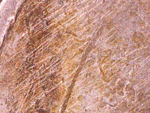 Bild 12 von 24
