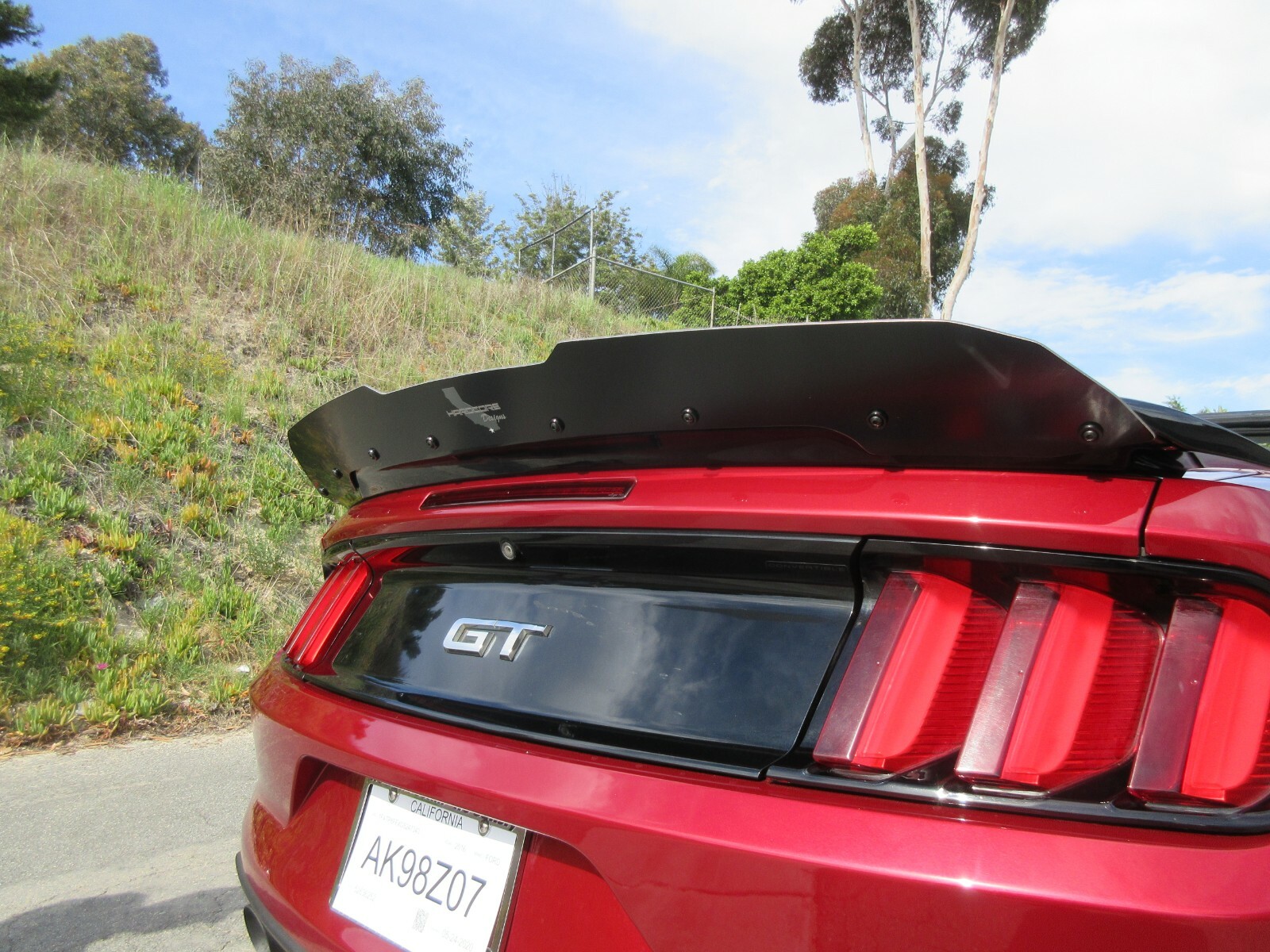 FORD GT350 HARDCORE TALL WICKER BILL 2015-22 Made in USA!