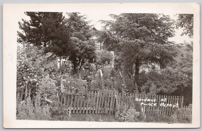 Prince Rupert British Columbia Canada Real Photo Postcard RPPC Gardens