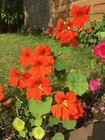 Bild 87 von 160