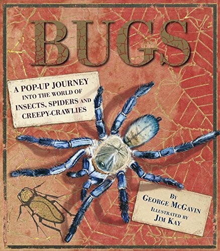 Bugs: A Pop-up Journey into the World of Insects, Spiders and Creepy-crawlies B