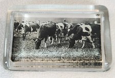 Vintage Antique Pictorial Paperweight Farmer & Cows Grazing at Hershey Farms PA