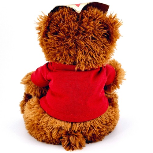 Wonder Woman Plush Teddy Bear Stuffed Animal DC Comics Sherwood Brands Valentine - Picture 5 of 12