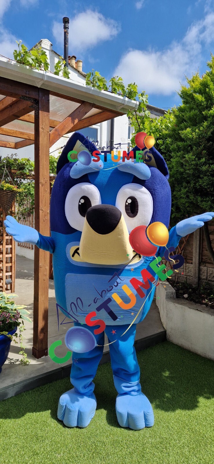 Hire Bluey Dog 23 Bingo Dog 23 Lookalike Costume Mascot Fancy Dress