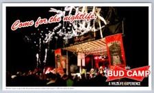 Paradise Awaits, 2008 Canada Budweiser Bud Camp Contest Postcard #2