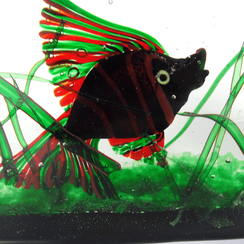 Riccardo Licata Fisch AQUARIUM 50s Cenedese Glass Murano 2,7 Kg. Glas Skulptur - Bild 4 von 8