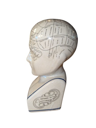 Phrenology Head by LN Fowler 12" Ceramic Glazed Head - Picture 3 of 10