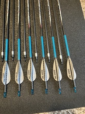 Two Dozen Victory Xtorsion 300 Spine Arrows