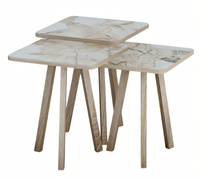 Elegantes Beiges Holz Couchtisch-Set Modern Stilvoll