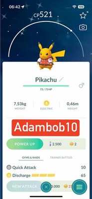 Ptc Mini Pokemon Pikachu Shiny | Meses sin interés