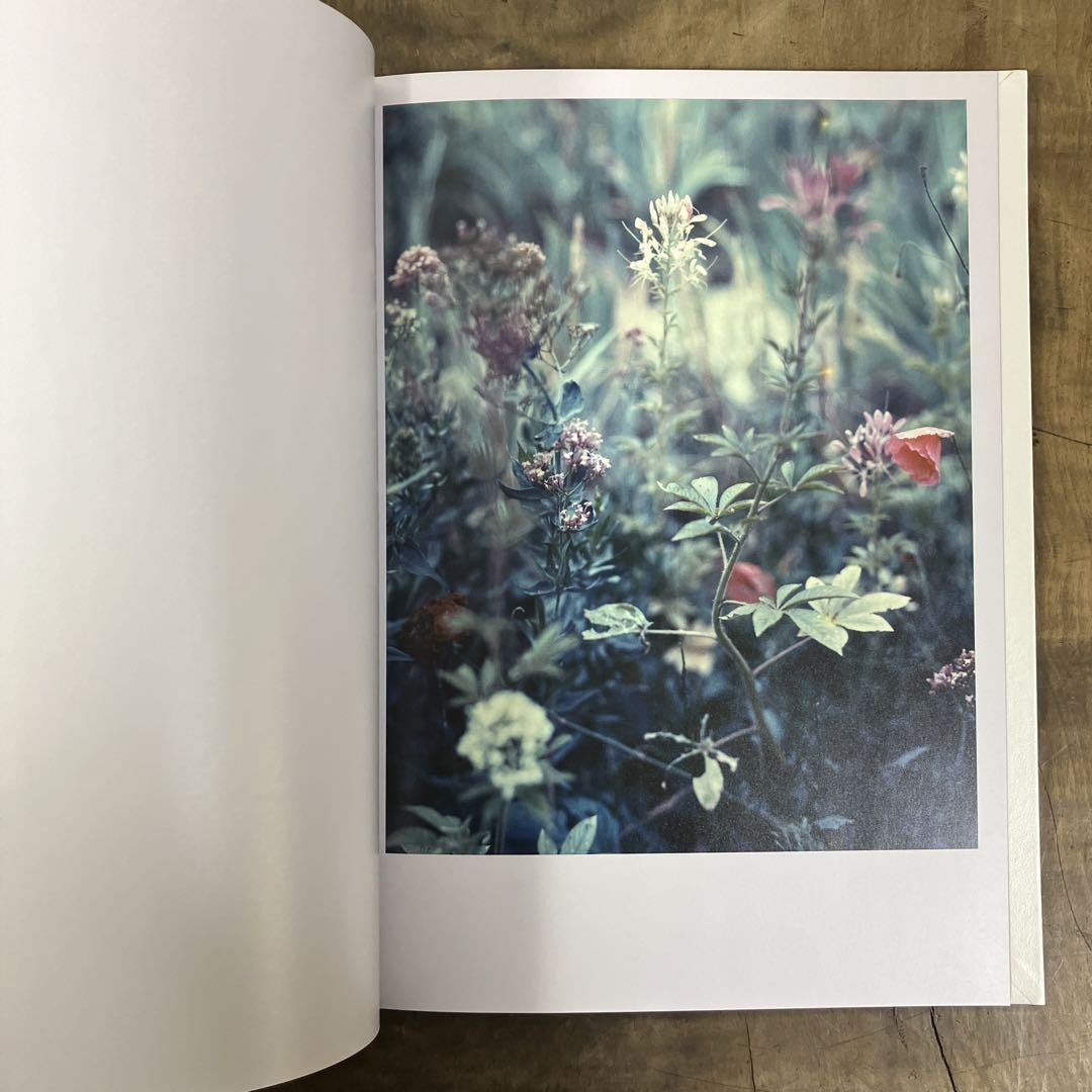 Darren Almond The Civil Dawns ☆写真集 ダレン・アーモンド 限定500