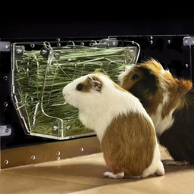 GuineaLoft  2-in-1 Hay & Food Feeder for Guinea Pigs, 10×5×7 inch, Clear