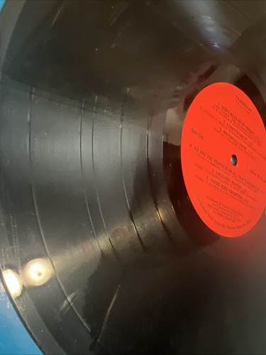 Summer Affair Soundtrack TRANSVUE Records 1980 - Picture 5 of 6