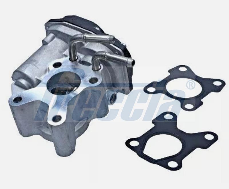 FRECCIA EGR12-224 Egr Valve Fits Nissan Cabstar Navara Np300 Platform/Chassis