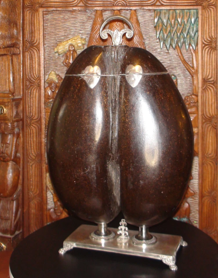 Gigantic Coco de Mer, Seychelles, montado em prata maciça francesa com dois rubis - Imagem 3 de 4