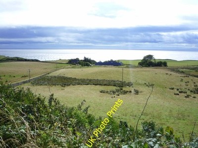 Foto 6x4 Beweidung, West Garty Portgower c2016