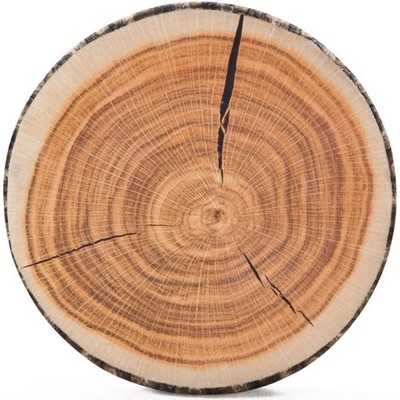 Decorative Round Throw Pillow, 3D Digital Print Comfortable Funny Cute Wood L...