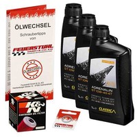 Honda Cbf 600 (PC43) 08-13, Classic 10W40 ÖL + K&N Racing ÖLfilter, MotoröL Set